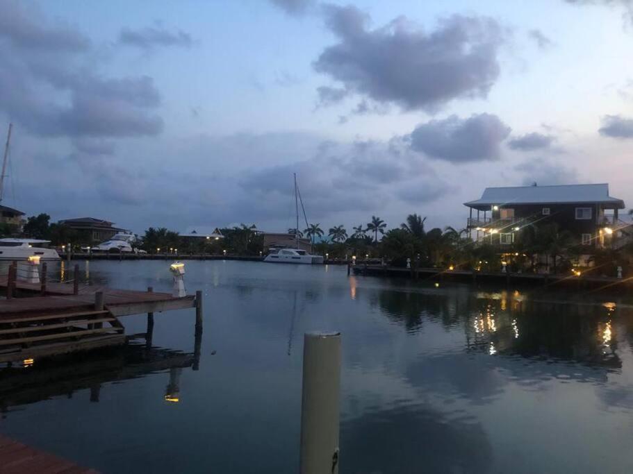 Bahia Vista - Spectacular Views - 4 Bedrooms Placencia エクステリア 写真